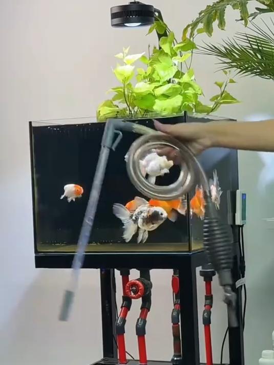鱼缸换水难？怎样才能轻松清洁？这款换水器集换水、洗砂的