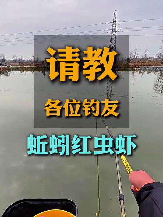 有没有师傅钓鲫鱼混合用过这三种饵料的？