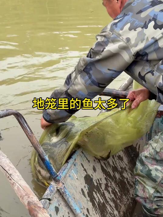 和爸妈起地笼,鱼简直是太多了,吃不了给邻居们送一送