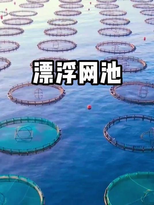 这种漂浮在水面上的养鱼池你见过吗