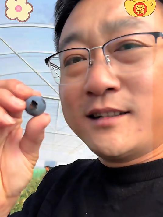 蓝莓园里蓝果缀满枝头农户们挎着蓝篮悉心采摘每一颗饱满蓝莓都是生态农业的鲜活成果铺就乡村特色