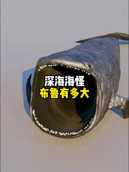 你知道深海海怪布鲁有多巨大吗