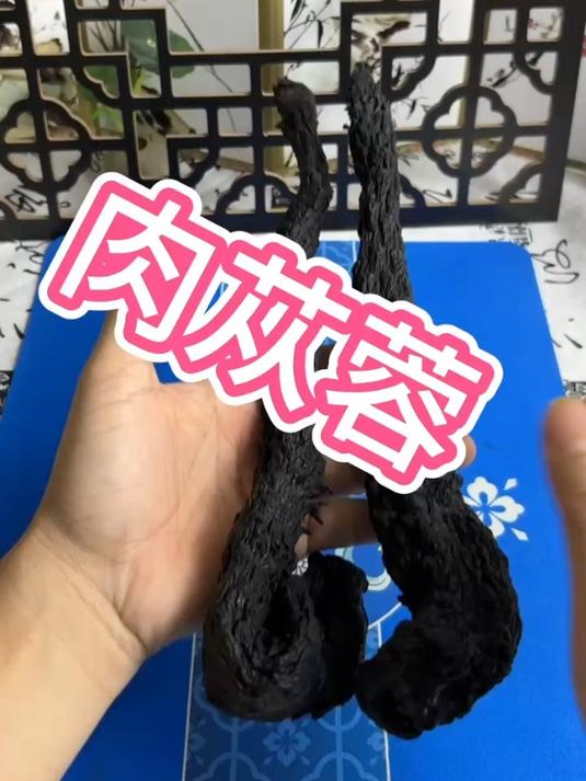肉苁蓉,主要生长在沙漠,以内蒙古为比较好