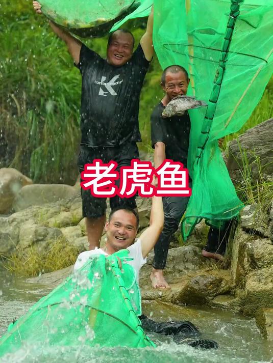 老虎鱼再狡猾还不是被我用“玲珑宝塔”抓到了