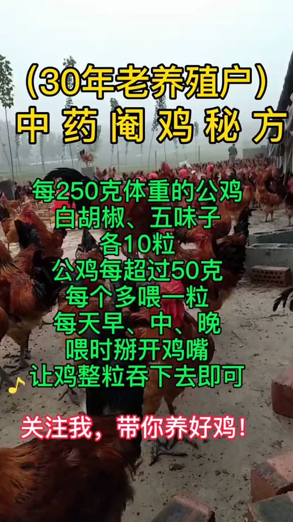 中药阉鸡配方