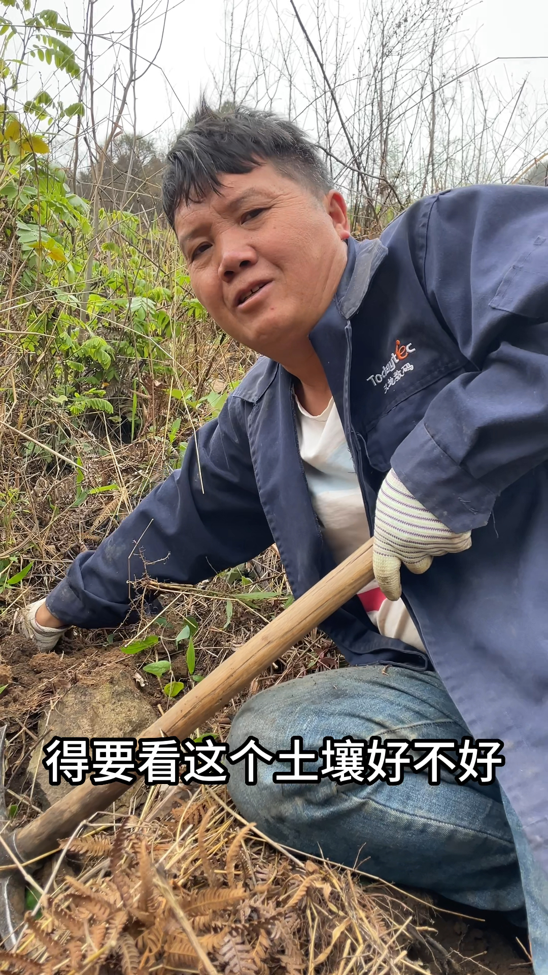 看看今天我挖到什么地菜了?