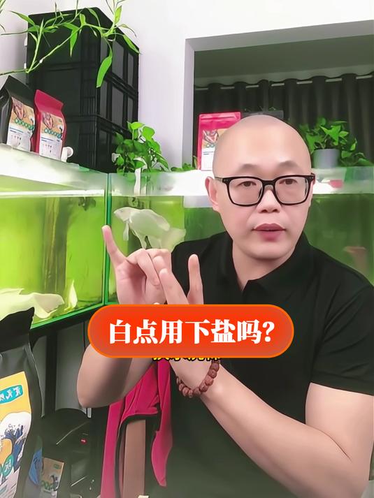 白点用下盐吗?