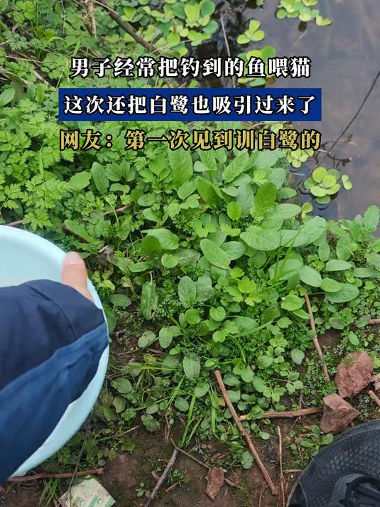 男子夜晚跑步之后，在灯光下全身都在冒蒸汽