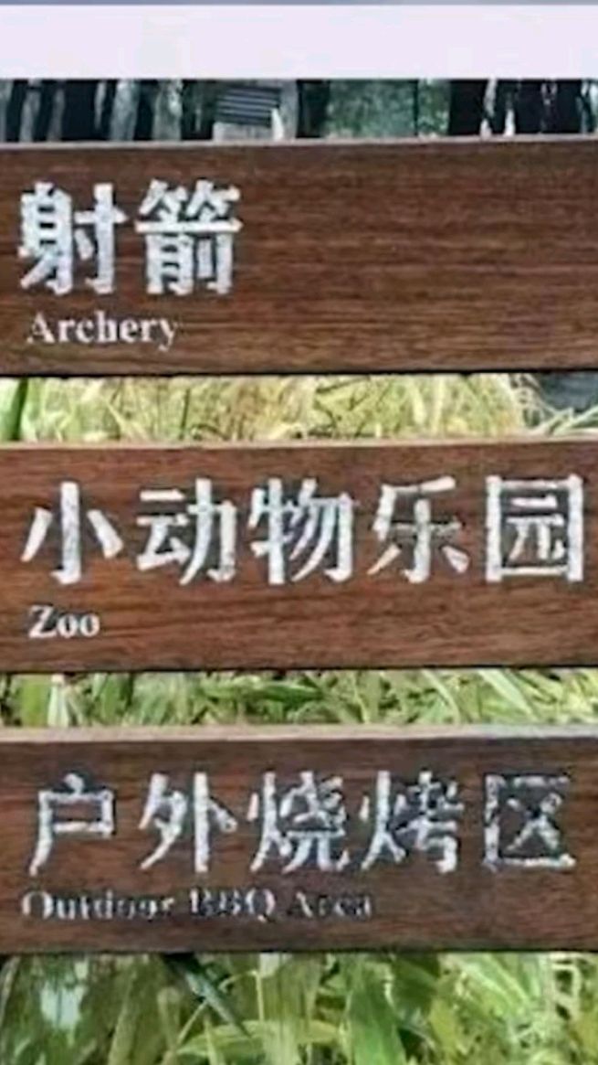 老实读书吧