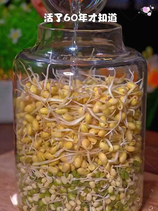 和四川泡菜齐名的神器!浙江产豆芽盆,自动沥水,新手也能成功!