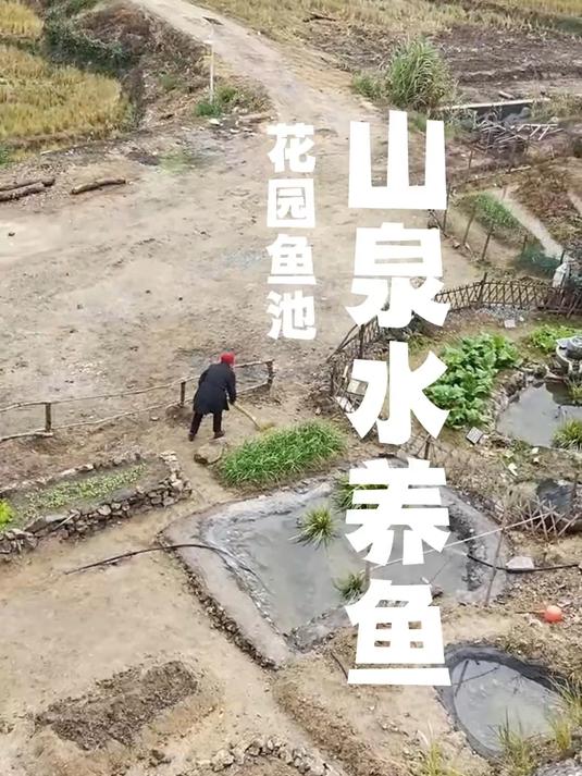 花一年时间,把院子改造成花园鱼池是什么体验?