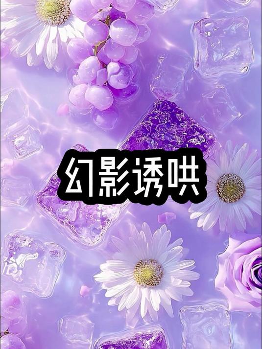 《幻影诱哄》评分9.5分以上小说 文荒推荐 小说推荐 女生必看