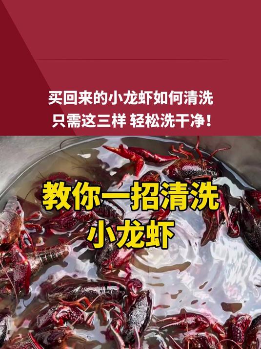 买回来的小龙虾如何清洗,只需这三样 轻松洗干净!