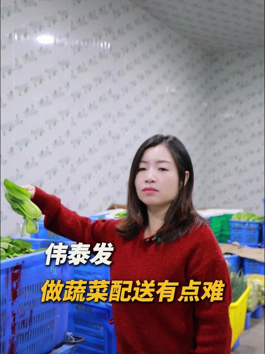 做蔬菜配送真的有点难深圳农产品配送#深圳农产品供应链#深圳平台送菜