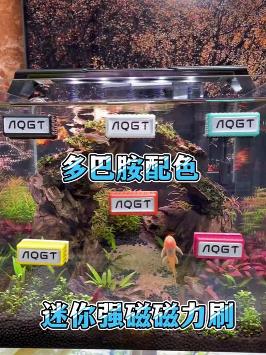 AQGT鱼缸六色磁力刷迷你清洁工具刷无死角清洗神器鱼缸清洁水草缸