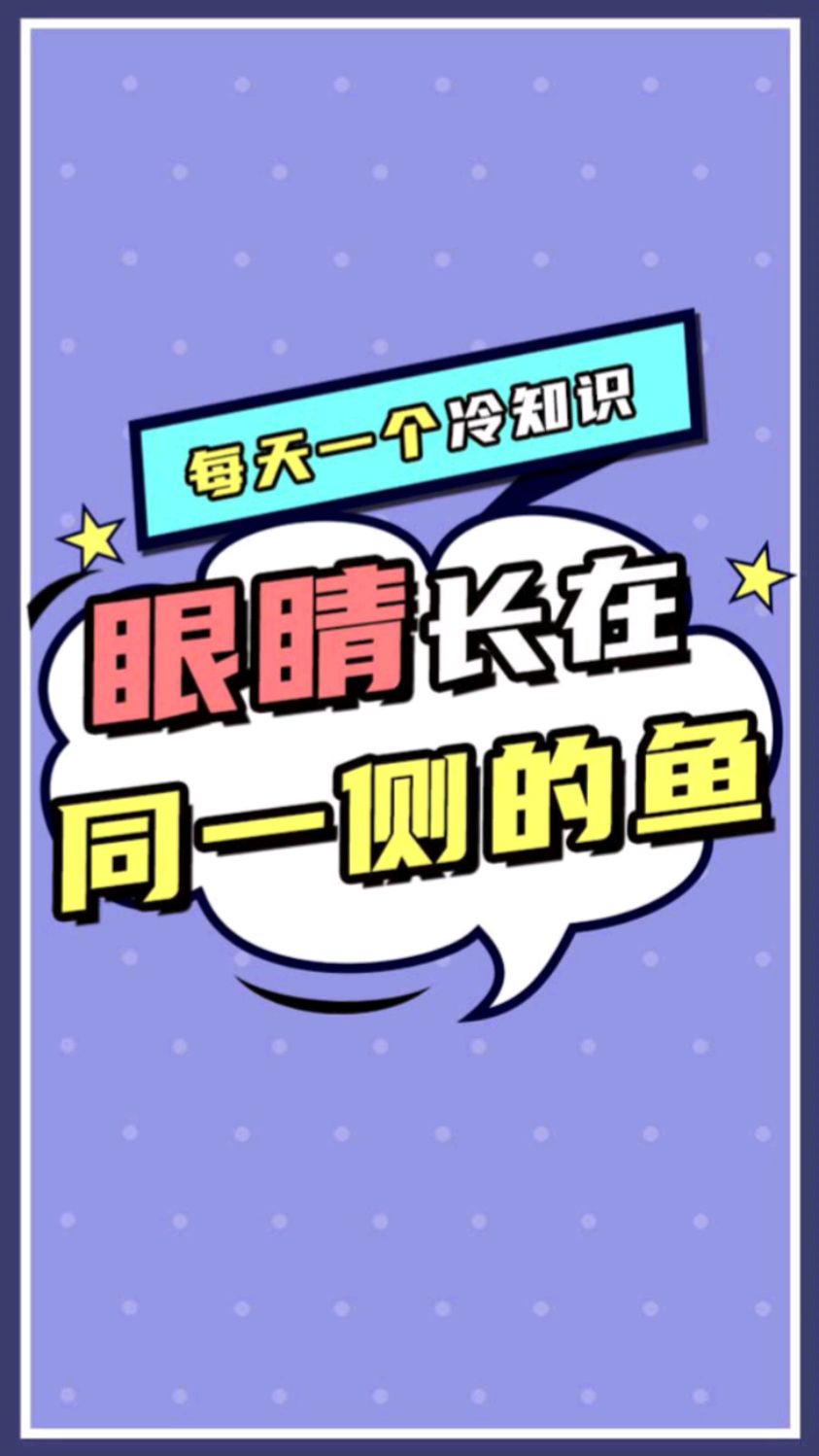 一种眼睛长在同一侧的鱼,你见过吗?