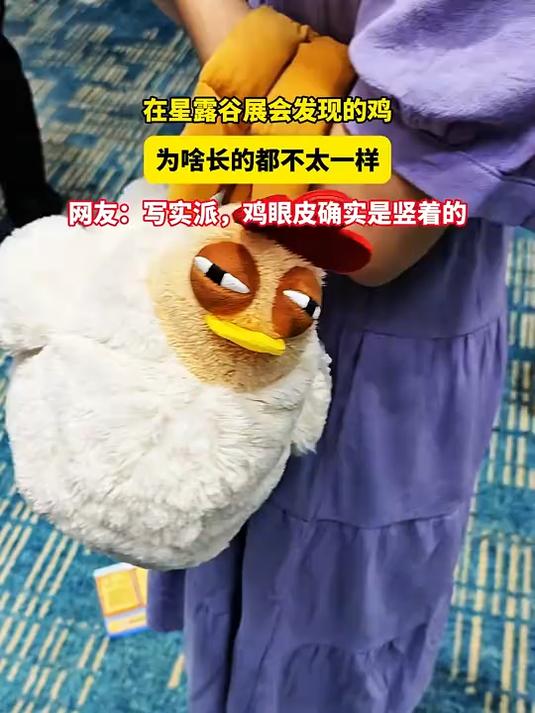 在星露谷展会发现的鸡,为啥长的不太一样?网友:鸡眼皮是竖着的