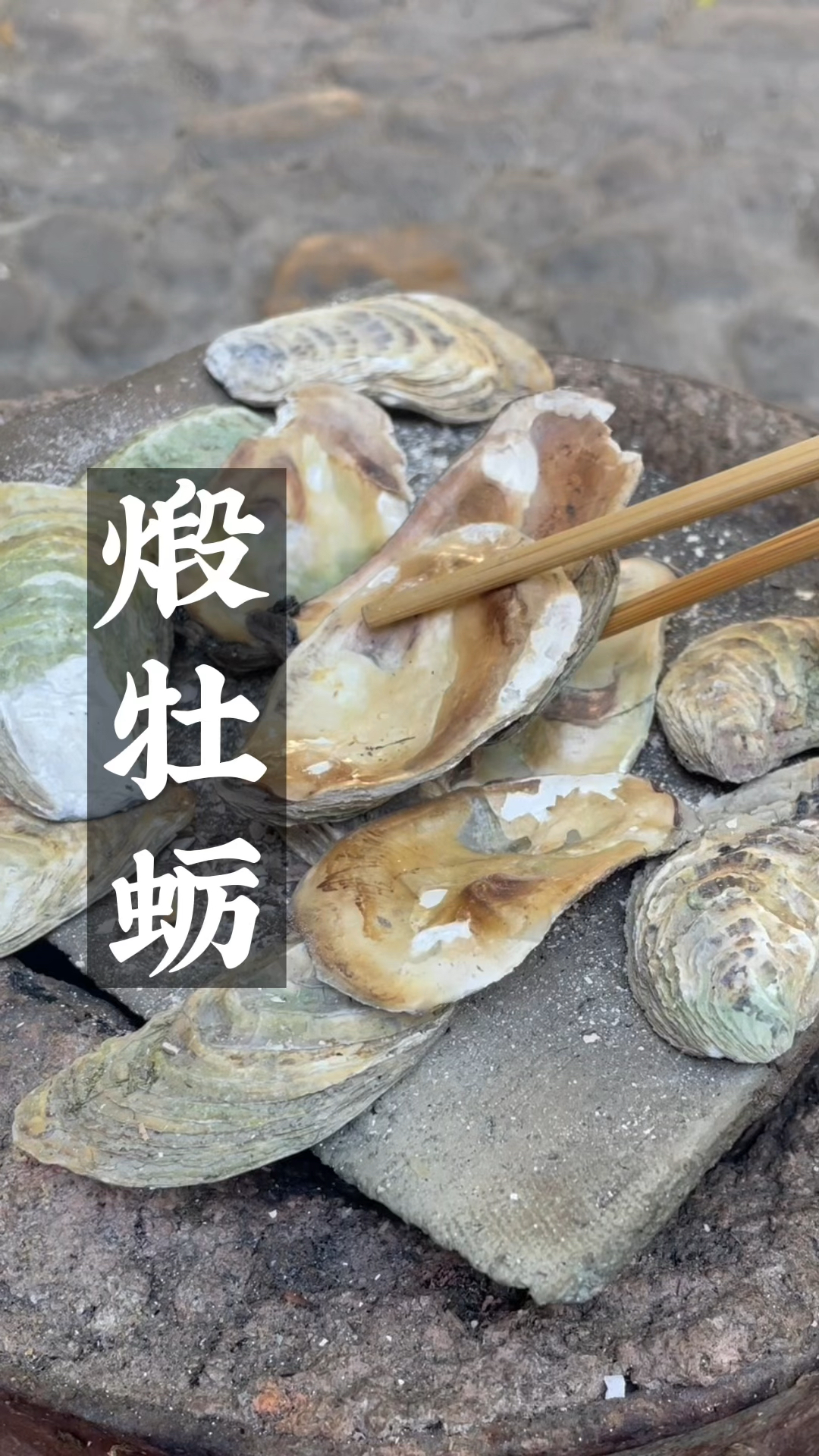 古法炭煅牡蛎壳粉