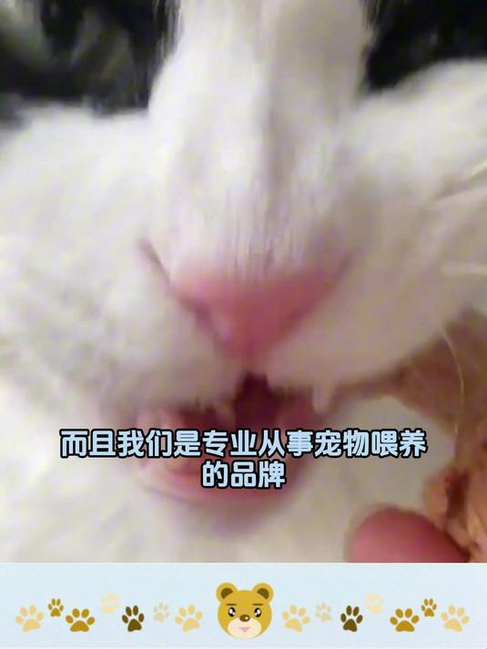 味当家鸡脖冻干,宠物美味新发现