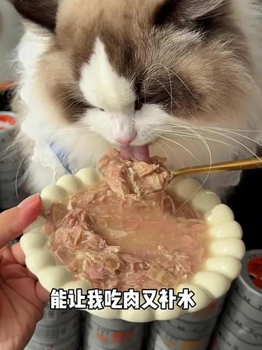 两位数 30 罐!猫大力金枪鱼罐头,猫咪超爱真划算