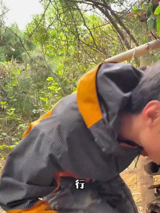今天终于吃上荒野版铁板烧了