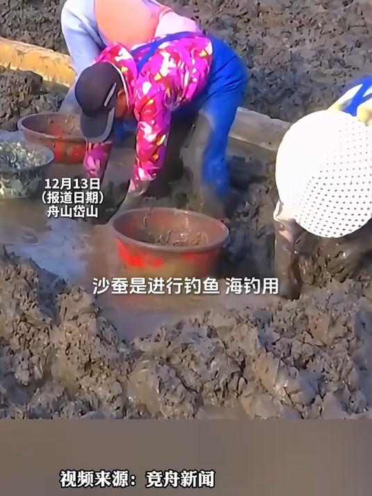 钓鱼佬到这儿都迈不开腿吧,舟山衢山岛海蜈蚣出口量占全国40%