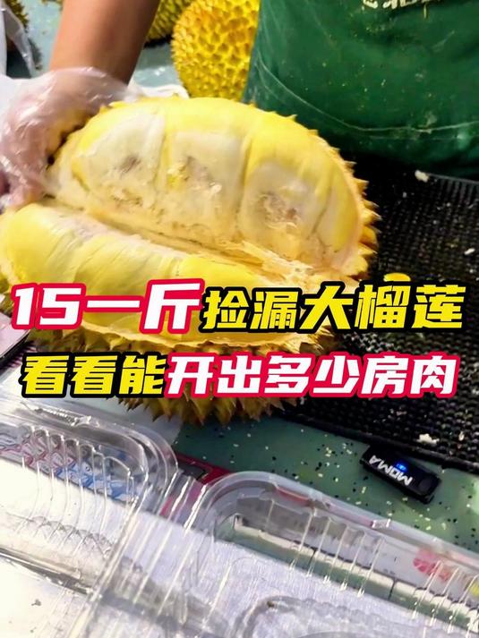 15一斤捡漏大榴莲，看看能开出多少房肉