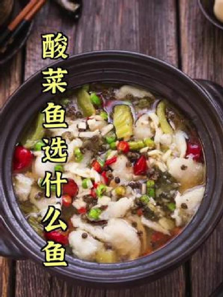 做酸菜鱼选什么鱼?草鱼、黑鱼有什么区别