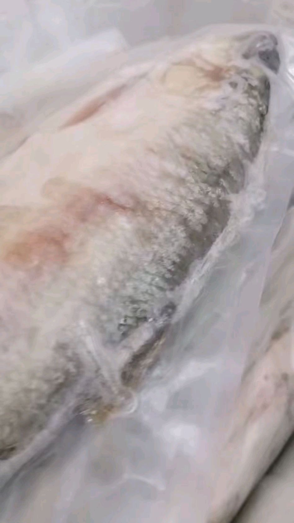 秘制汤淹白磷鱼,我们这里叫它臭想鱼,就像臭豆腐,闻着臭吃起来香