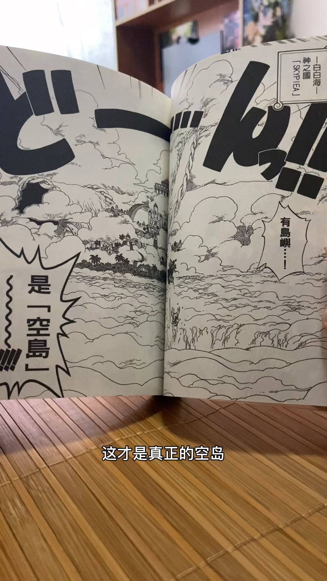 最爱的漫画海贼王(空岛的冒险)
