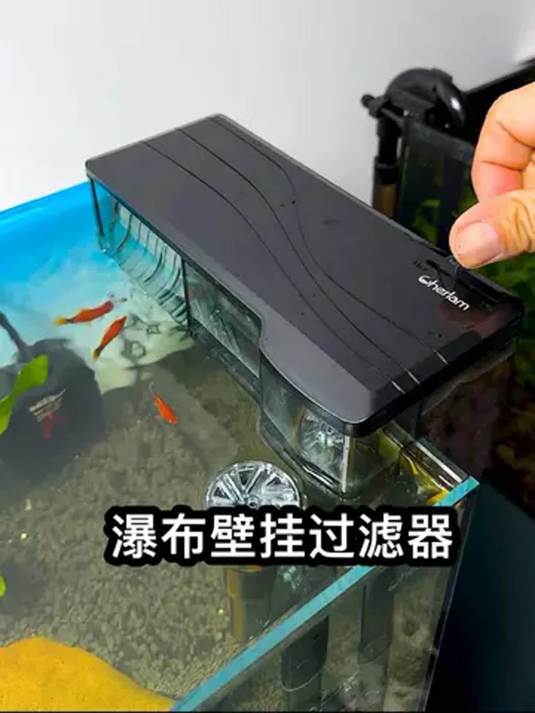 六零以内鱼缸鱼少 一个壁挂过滤超棒 美观省地儿