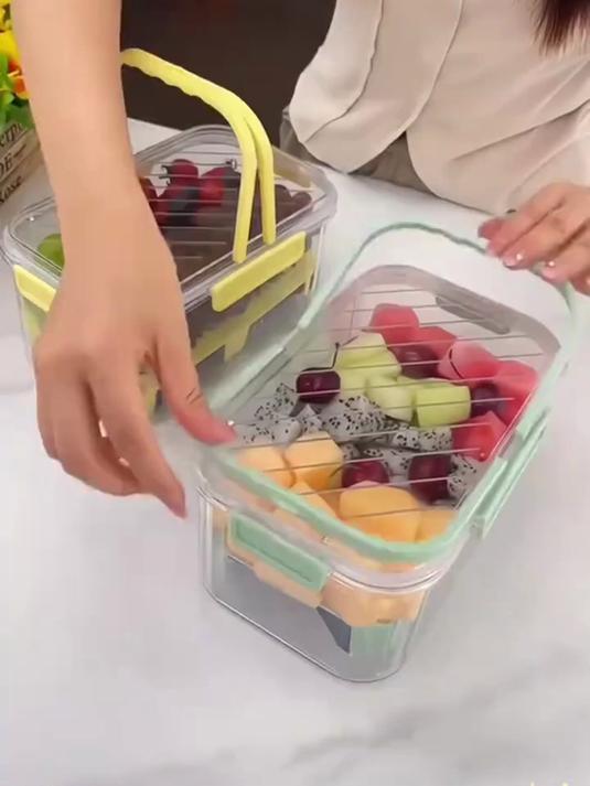 野餐户外手提冷藏保鲜盒自带冰盒便携移动小冰箱便当盒装水果蔬菜