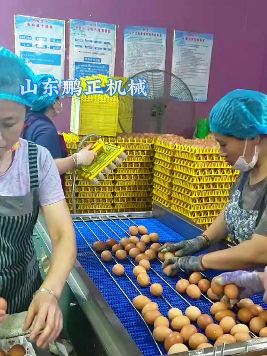 麻酱鸡蛋工厂实拍