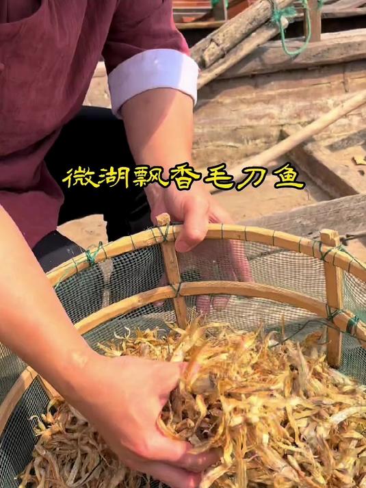 靠子鱼学名毛刀鱼,教大家做一道美味的微湖飘香毛刀鱼