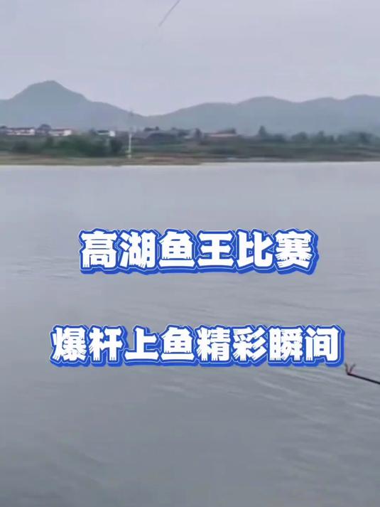 化氏高湖水库鱼王大赛