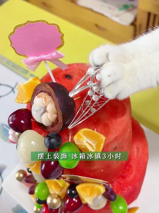 西瓜蛋糕塔 猫子啊 这个家没你不行