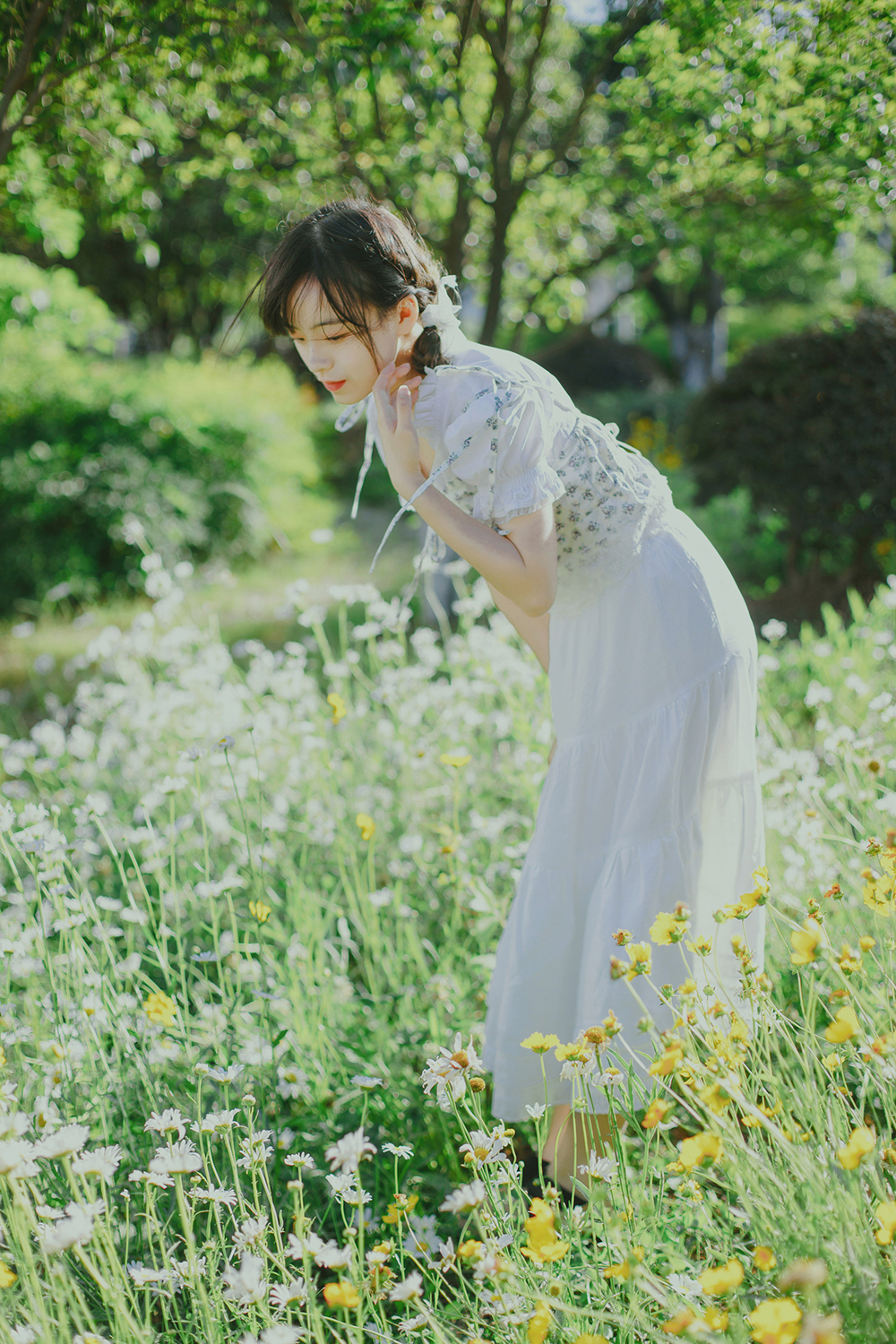 图片[5]-初夏の小雏菊Ⅱ-六色网