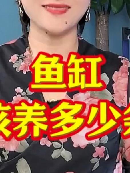 鱼缸应该养多少条鱼