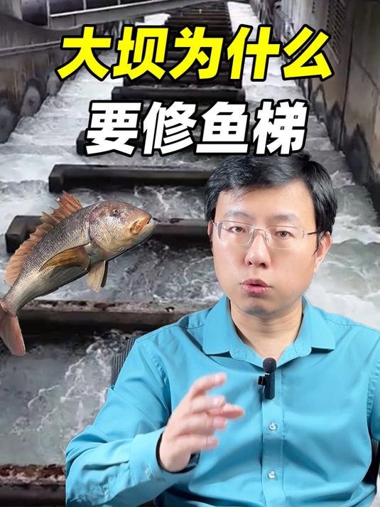 三峡大坝为什么要给鱼修电梯
