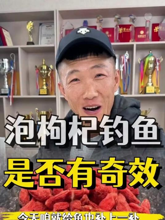 枸杞真的可以钓鱼吗，难道鱼也虚了？