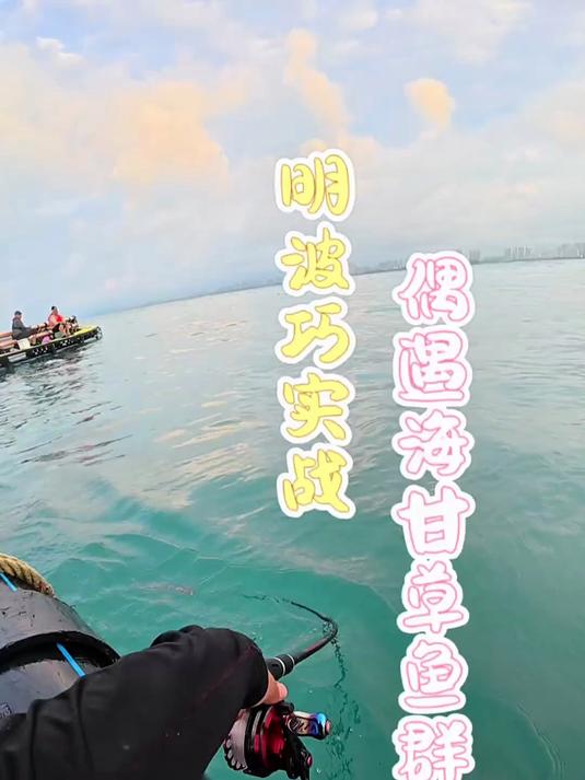 明波巧实战，偶遇海甘草鱼群