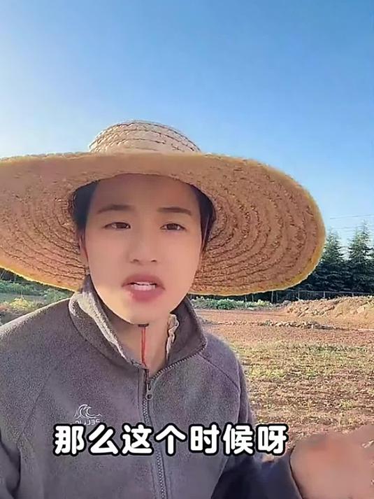 油菜病害咋防治?实用配方在这里,快来看!