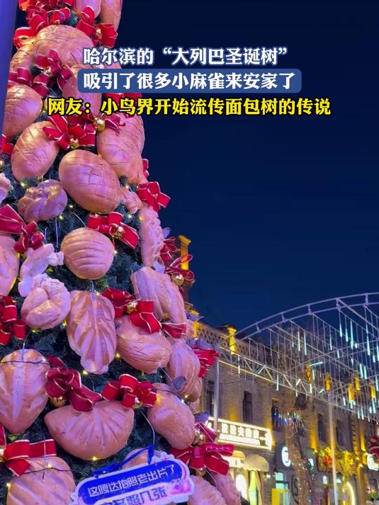 哈尔滨的“大列巴圣诞树”,吸引了很多小麻雀来安家了