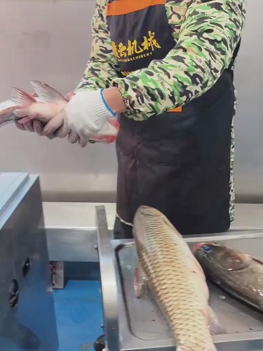 全自动多功能开背去鳞杀鱼机 开鱼背去鱼鳞一体的机器