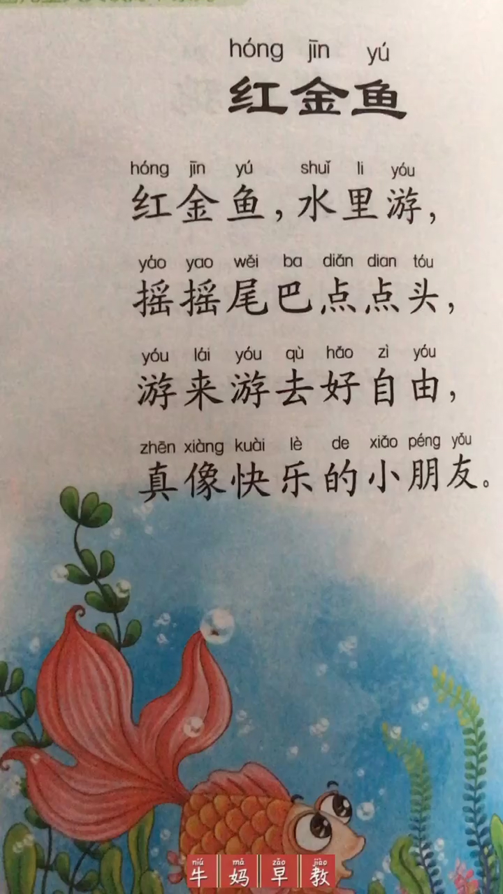 牛妈早教:儿歌朗读31/300《红金鱼》