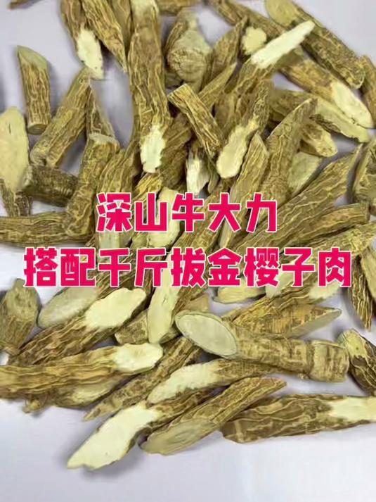 牛大力煲汤 搭配千斤拔金樱子肉泡酒#牛大力煲汤##千斤拔泡酒##金樱子养生##药膳滋补##