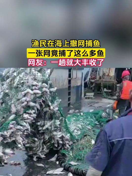 渔民在海上撒网捕鱼,一张网竟捕了这么多鱼,网友:一趟就大丰收了