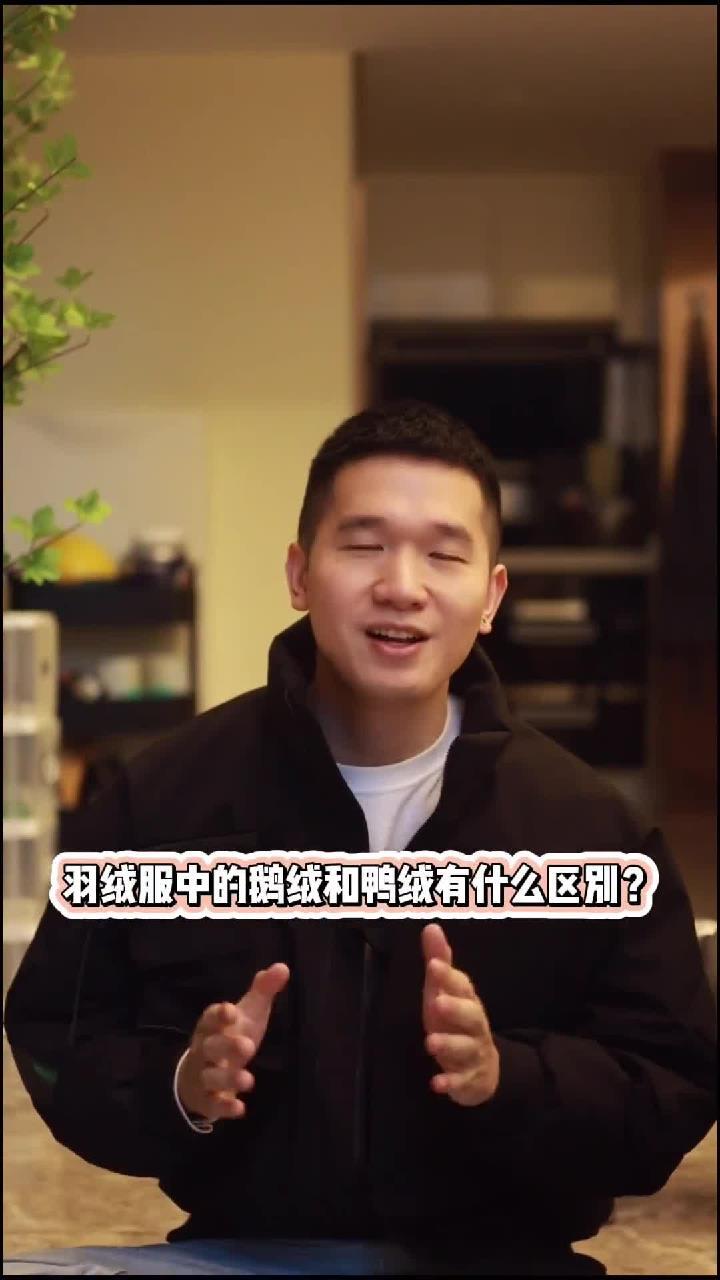 羽绒服中鹅绒和鸭绒的区别