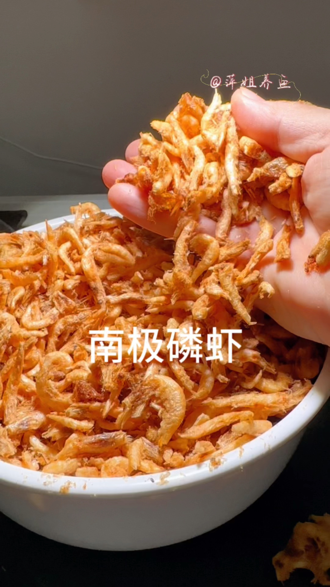 冷冻干燥充分保留了养分常温保存,1斤活虾的价格就能买一大桶#水族 #鱼缸里的大自然