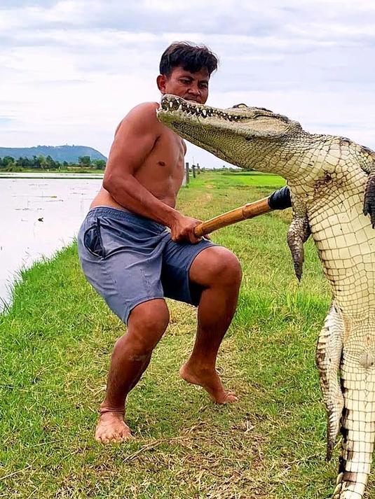 看东南亚人都是如何捕捉以及烹饪鳄鱼的，真是让人大开眼界啊